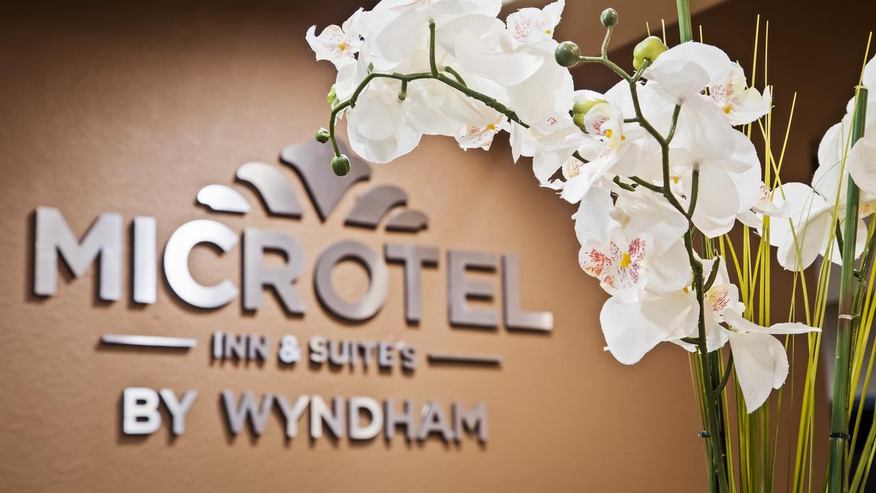 Microtel Inn & Suites By Wyndham Round Rock Eksteriør bilde